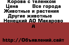 Корова с теленком › Цена ­ 69 - Все города Животные и растения » Другие животные   . Ненецкий АО,Макарово д.